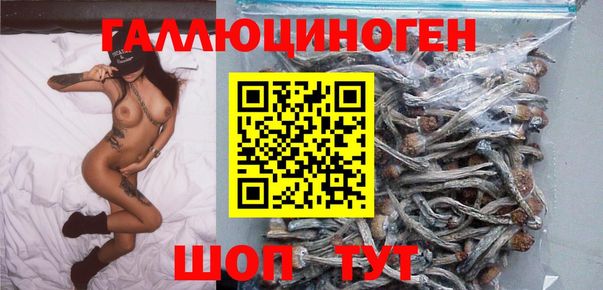 Галлюциногенные грибы прущие грибы  Вход с VPN  Рубцовск 
